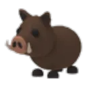 Wild Boar