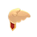 Winged Medal