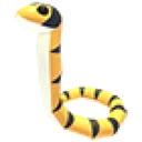 Yellow-Lipped Sea Krait